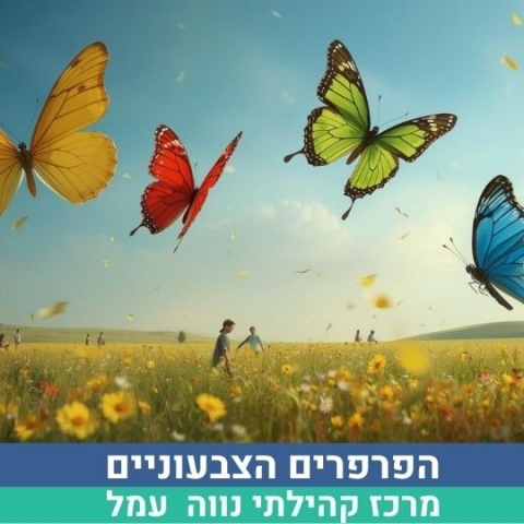 הפרפרים הצבעוניים