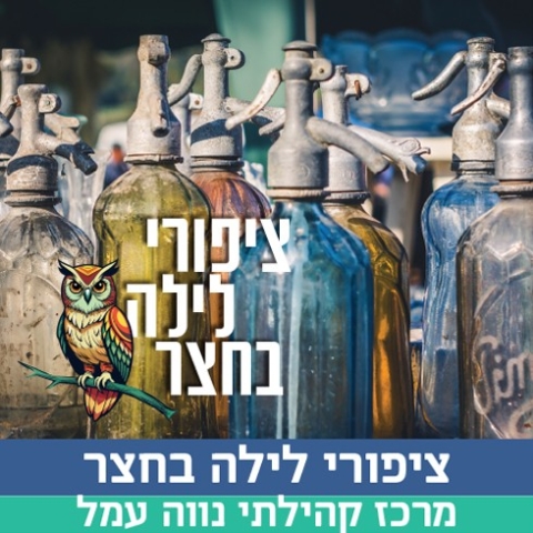 ציפורי לילה בחצר