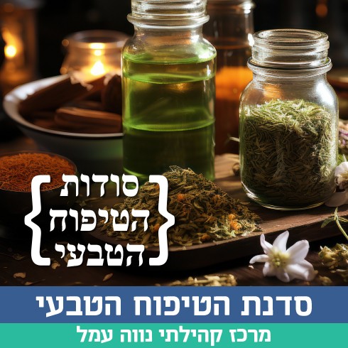 סלבה.jpg