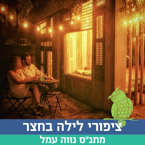 ציפורי לילה בחצר -תמונה.jpg
