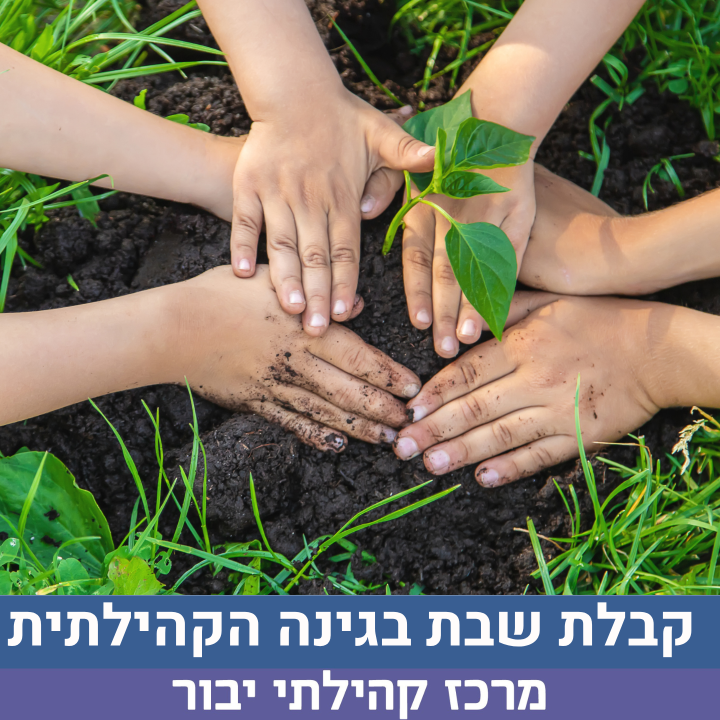 קבלת שבת בגינה 7.8 .png