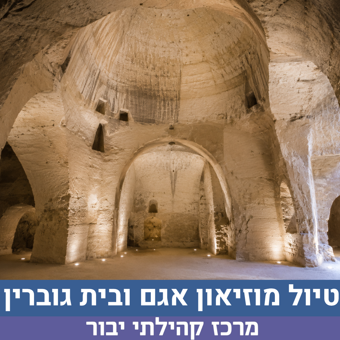 בית גוברין חדש לאתר.png