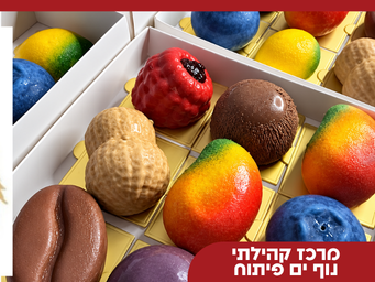 קובץ עבודה שלי  (1).png