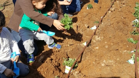 טו בשבט בקהילה.jpg