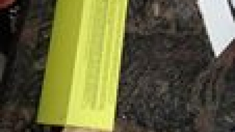 78216977_10157914990183799_1507126224852353024_n.jpg